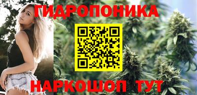 эйфоретик Пушкино
