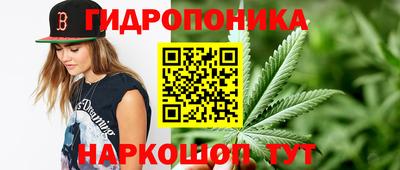 эйфоретик Пушкино