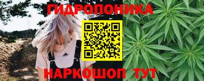 эйфоретик Пушкино