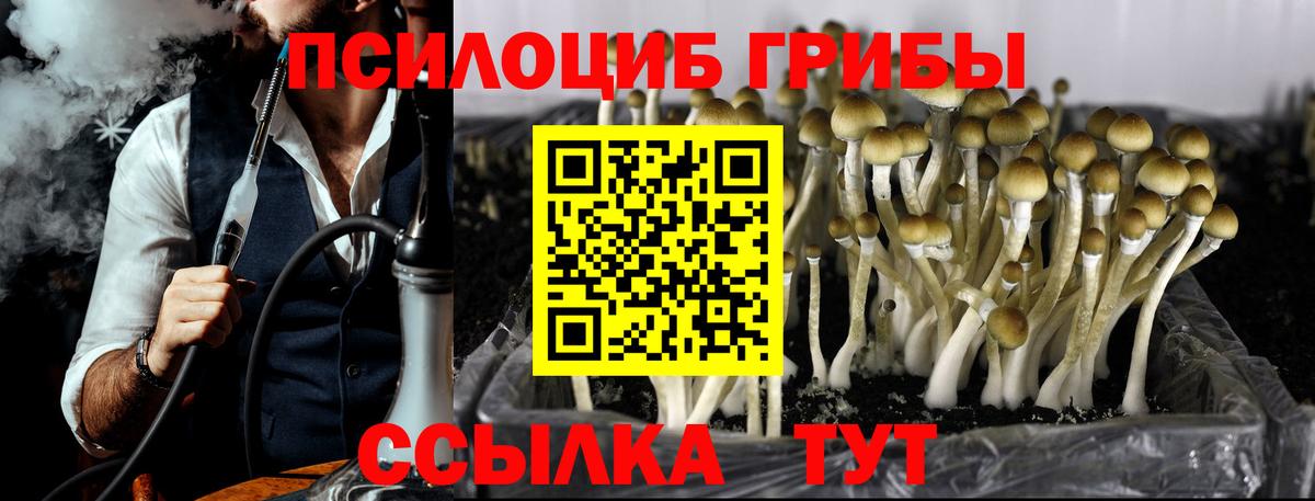 Псилоцибиновые грибы мухоморы  Псилоцибиновые грибы мухоморы  Северск  Вход с VPN 